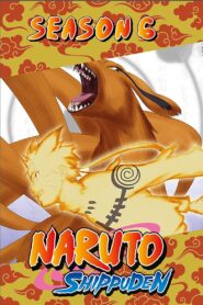Naruto Shippūden: Season 6
