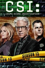 CSI: Crime Scene Investigation: Season 13