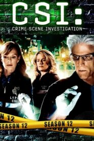 CSI: Crime Scene Investigation: Season 12