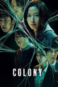Colony